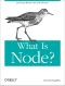 [Techie 01] • What Is Node.js?